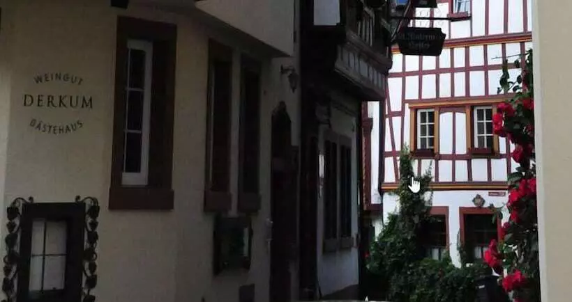 Retkeilymaja Weingut Gästehaus Derkum