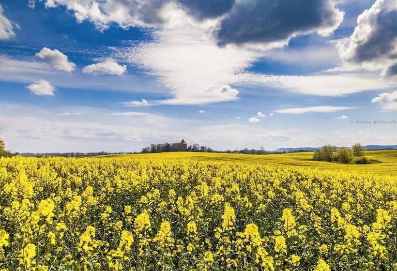 Anlage Tarnewitzer Hof