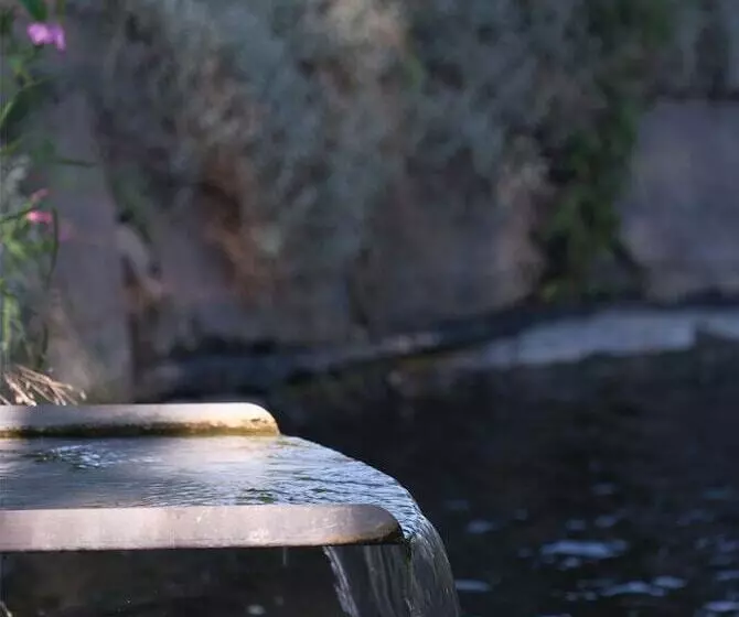 Anlage Tarnewitzer Hof