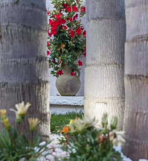 B&b Annita   Porto Cesareo