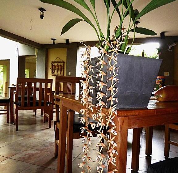 مبيت وإفطار Pura Vida