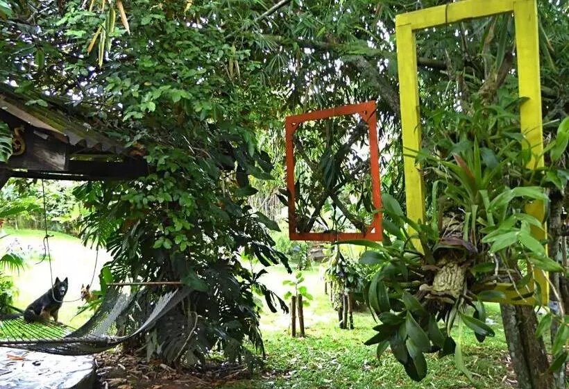 تختخواب و صبحانه Pura Vida