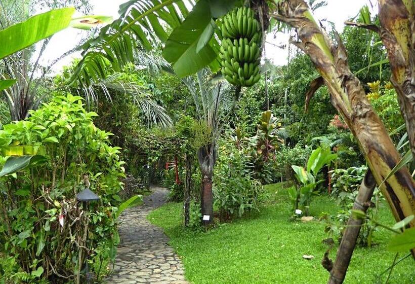 مبيت وإفطار Pura Vida