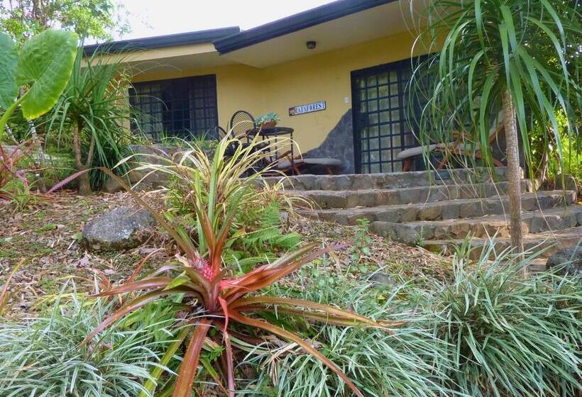 مبيت وإفطار Pura Vida