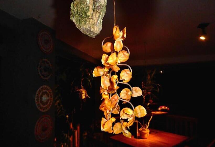 مبيت وإفطار Pura Vida