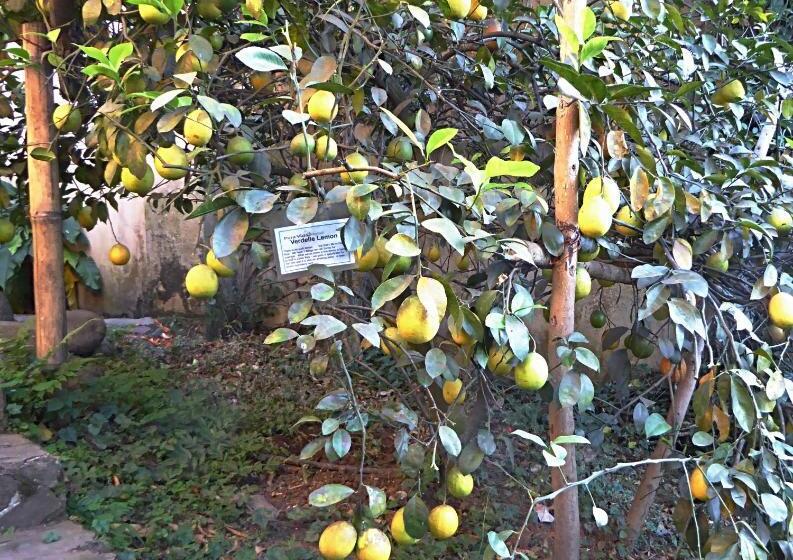 مبيت وإفطار Pura Vida