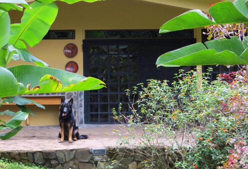 مبيت وإفطار Pura Vida