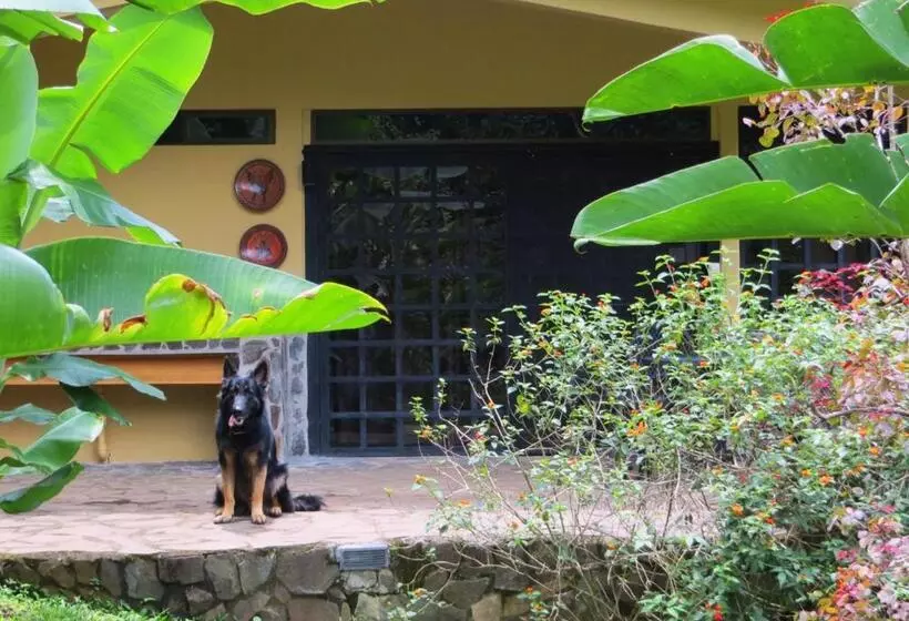 تختخواب و صبحانه Pura Vida