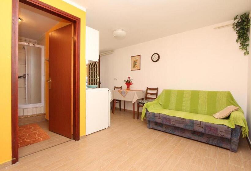 פנסיון Apartments And Room Silvana