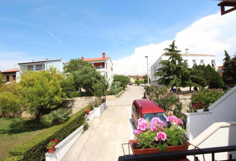 פנסיון Apartments And Room Silvana