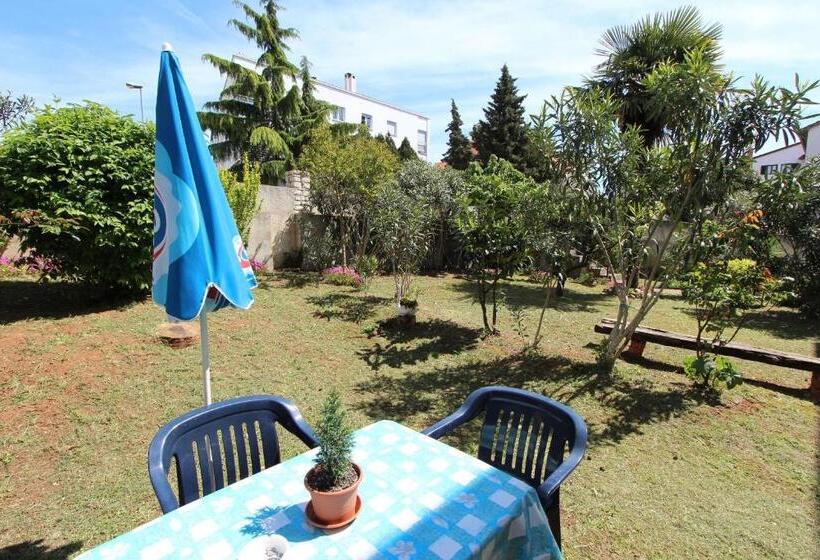 פנסיון Apartments And Room Silvana