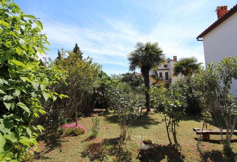 פנסיון Apartments And Room Silvana