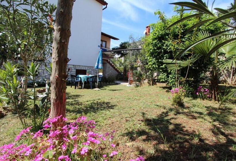 פנסיון Apartments And Room Silvana