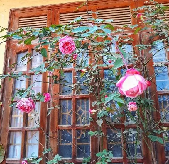 پانسیون Thanh Ha Homestay Sapa