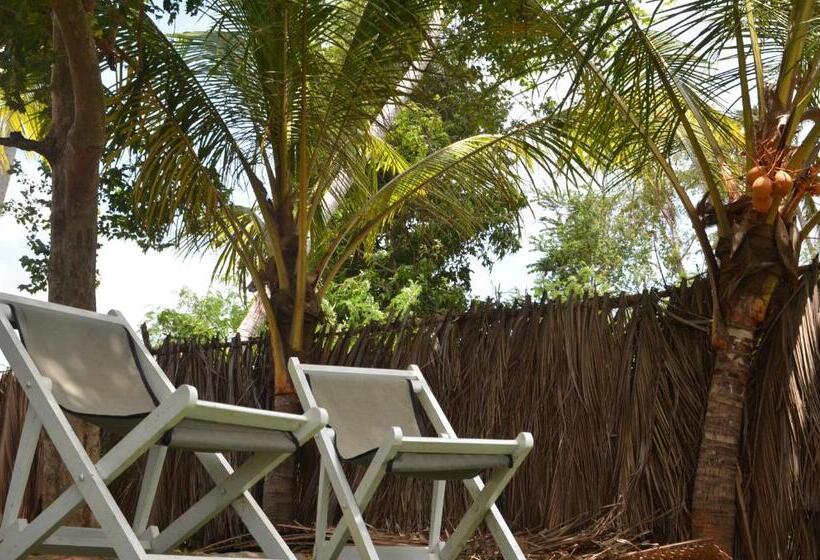 Pensió Yaye Guest House