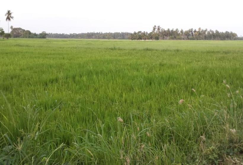 Pensió Yaye Guest House