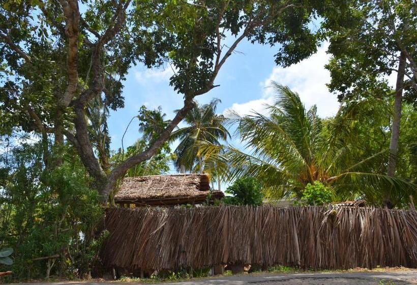 Pensió Yaye Guest House