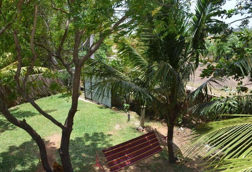 Pensió Yaye Guest House