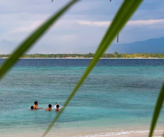 אתר נופש Meno House  Adults Only