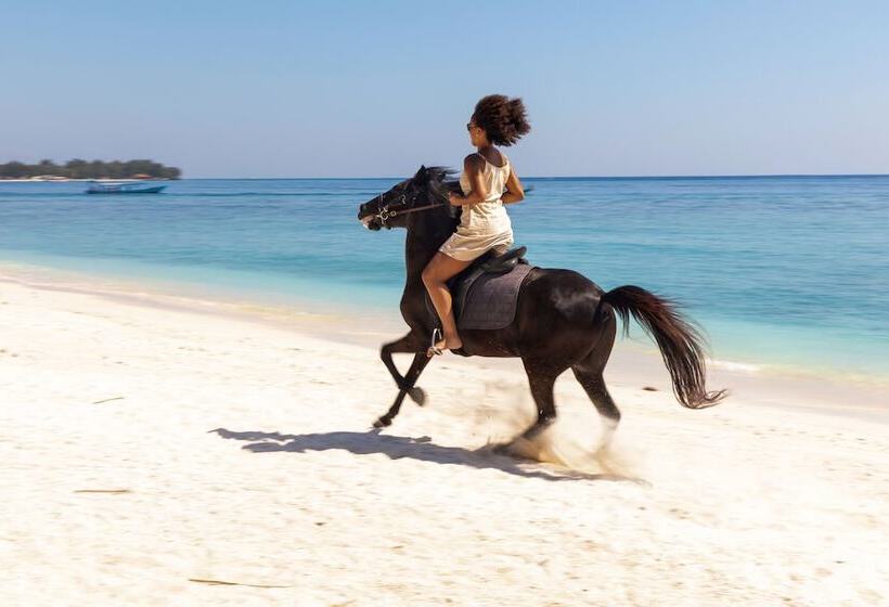 אתר נופש Meno House  Adults Only