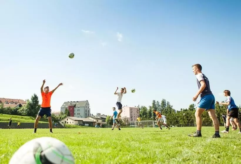 Youth Hostel Proteus Postojna