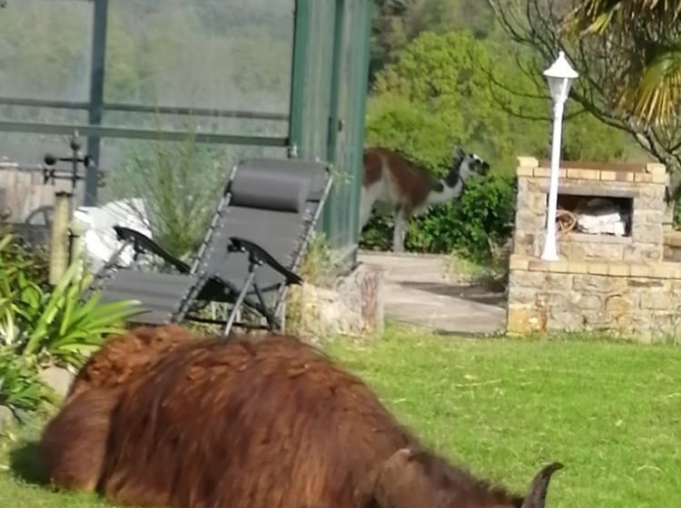 Bed and Breakfast La P Tit Fugue