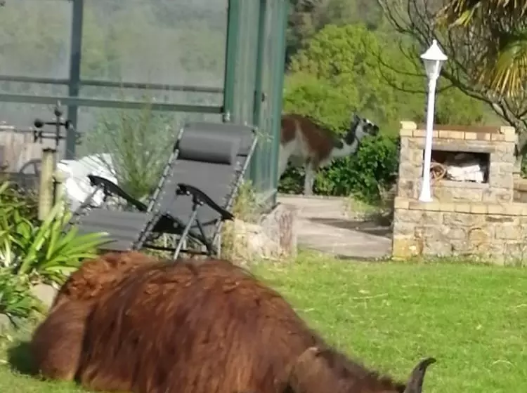 Aamiaismajoitus (B&B) La P Tit  Fugue