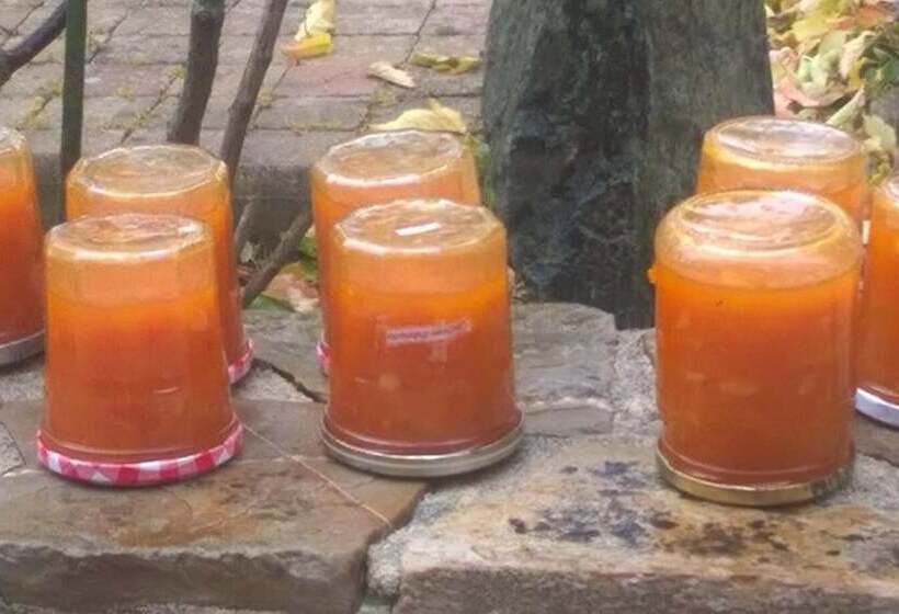 Bed and Breakfast La P Tit Fugue