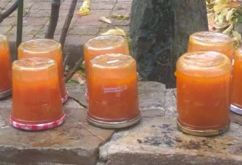 Aamiaismajoitus (B&B) La P Tit  Fugue