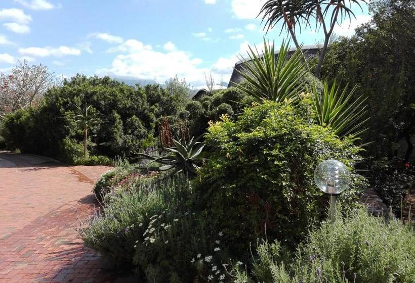 مبيت وإفطار Paradise Cove