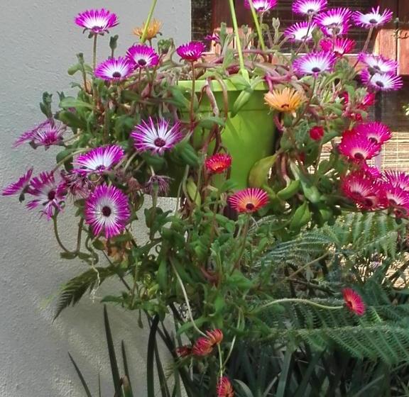 مبيت وإفطار Paradise Cove