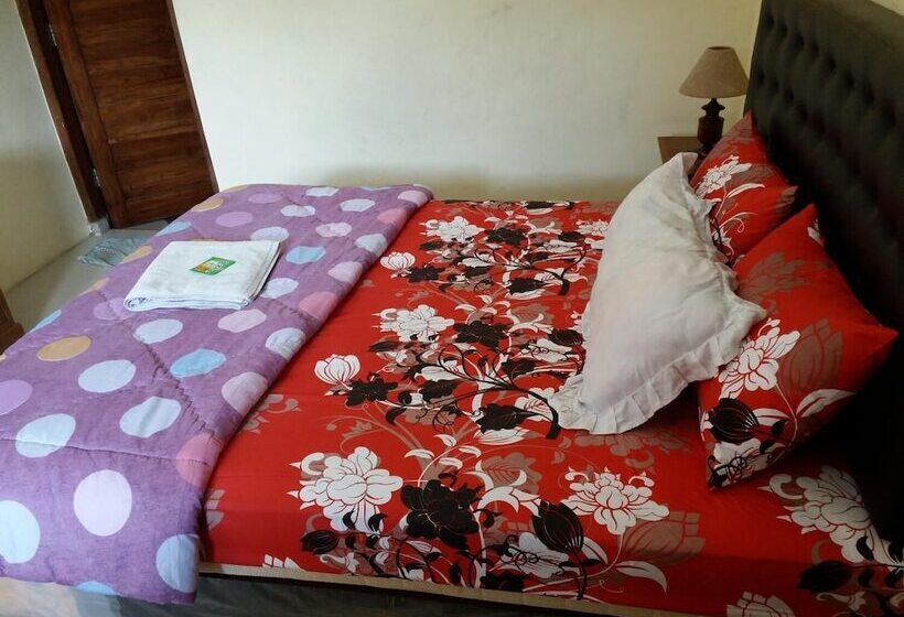 Szálloda Beto Guest House