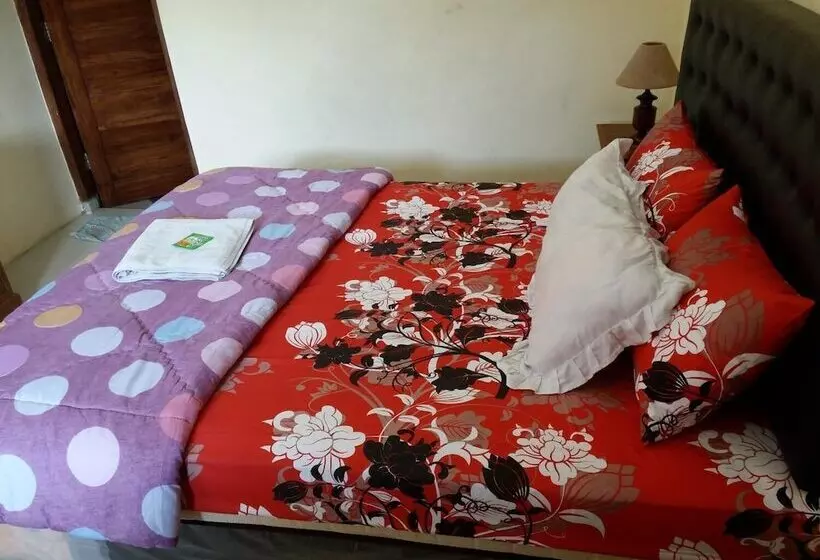 هتل Beto Guest House