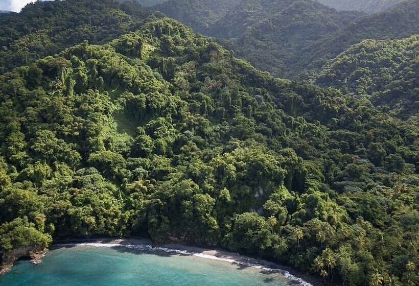 هتل Tante Arlette