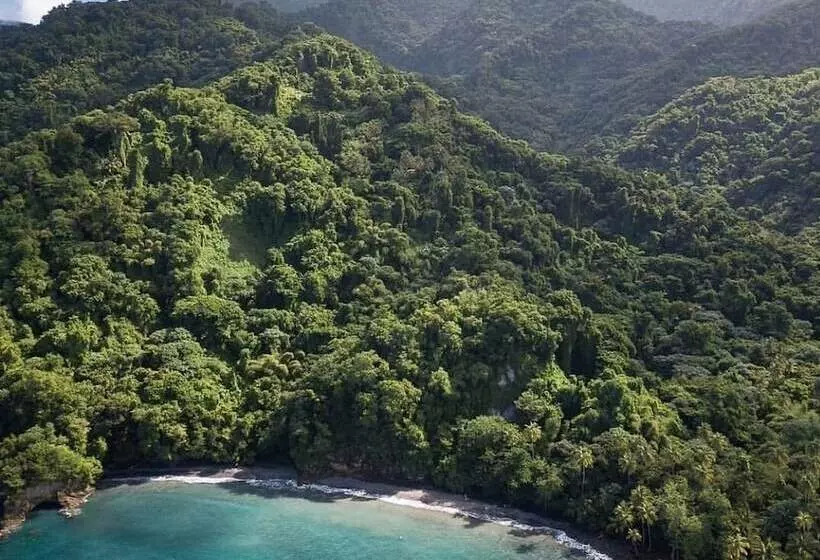 هتل Tante Arlette