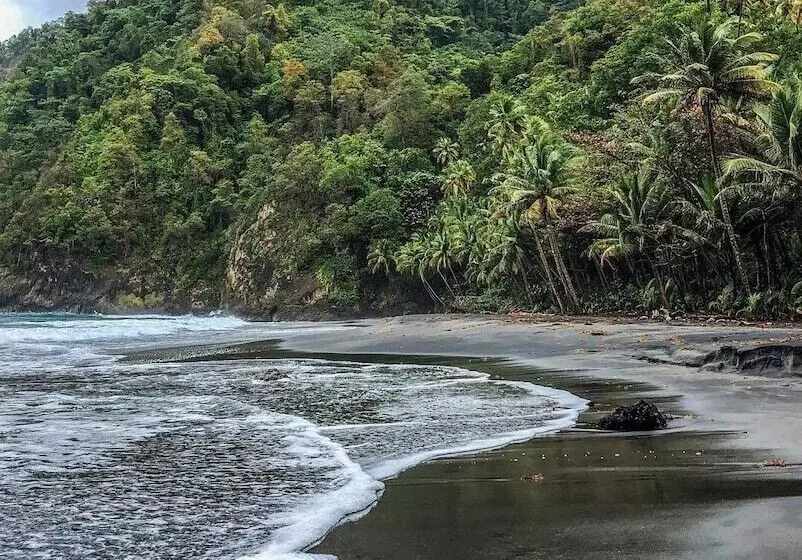 هتل Tante Arlette