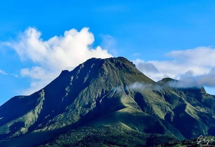 هتل Tante Arlette