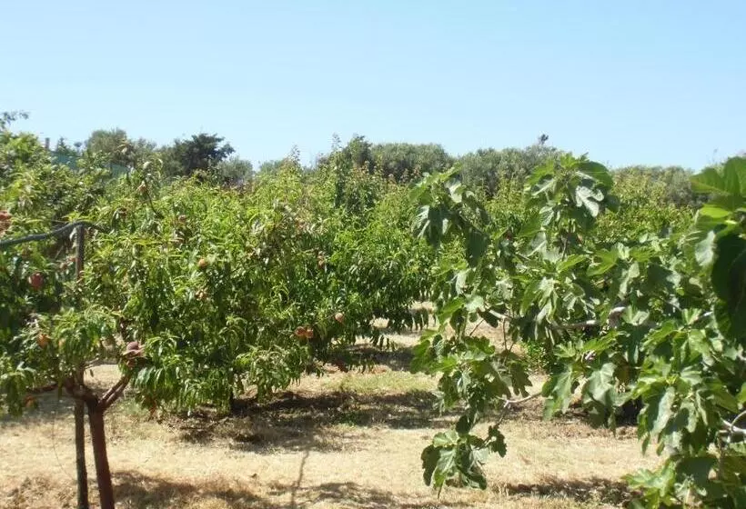 ホテル Stella Di Sicilia
