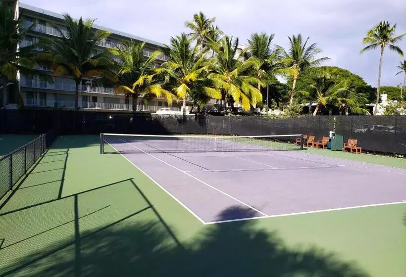 Maui Westside Presents  The Whaler 319