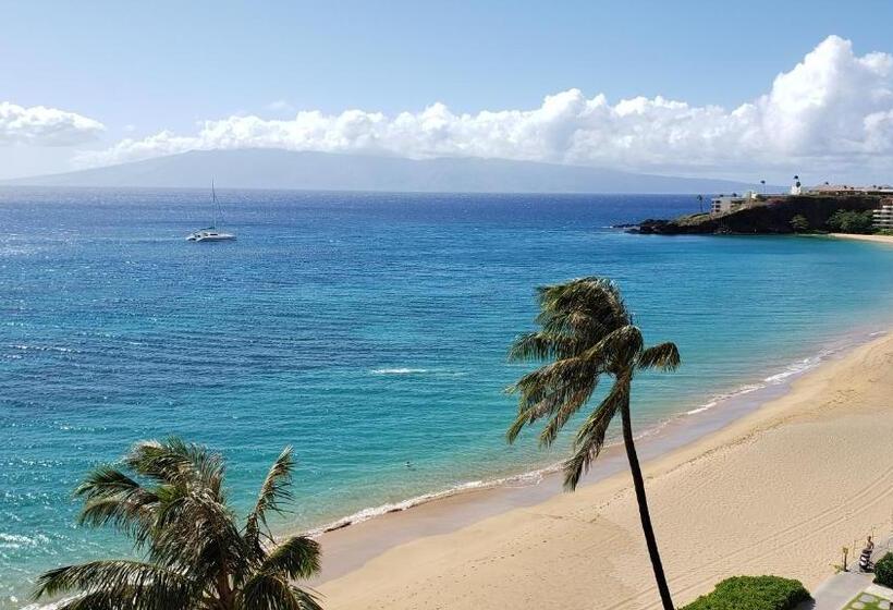 Maui Westside Presents  The Whaler 319