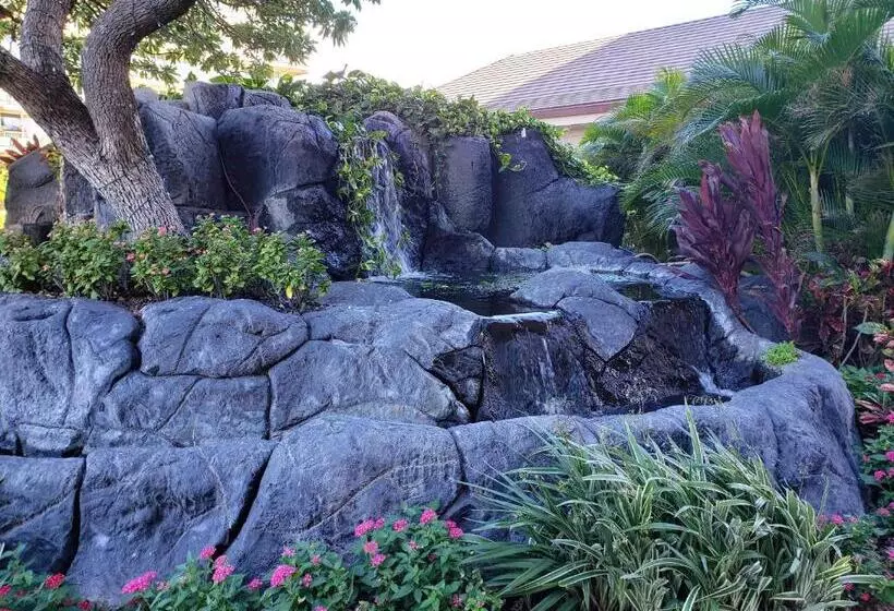 Maui Westside Presents  The Whaler 319