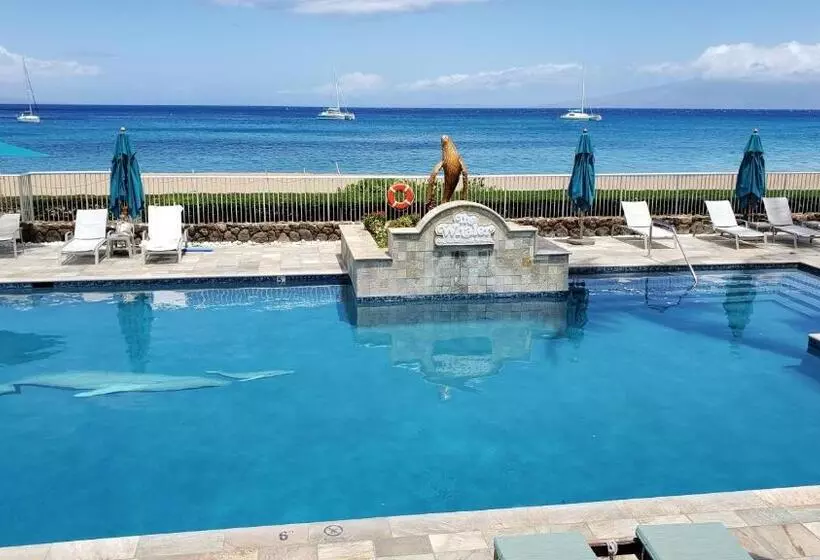 Maui Westside Presents  The Whaler 319