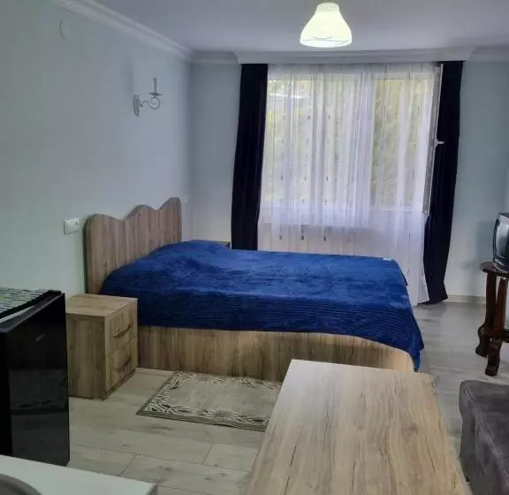 پانسیون Guest House Sando