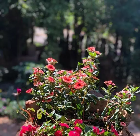 Majatalo Villa Da Serra Pousada