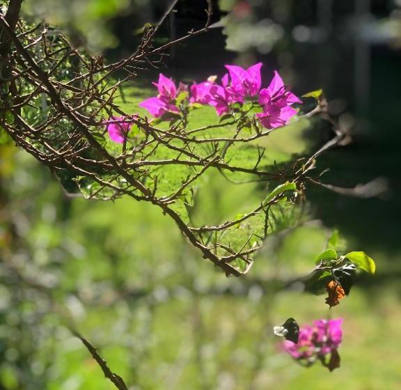 펜션 Villa Da Serra Pousada