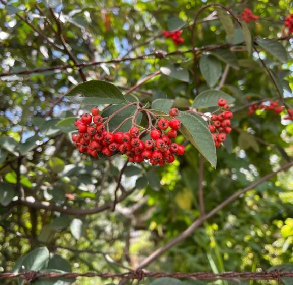 تختخواب و صبحانه Campestre Villa Los Duraznos