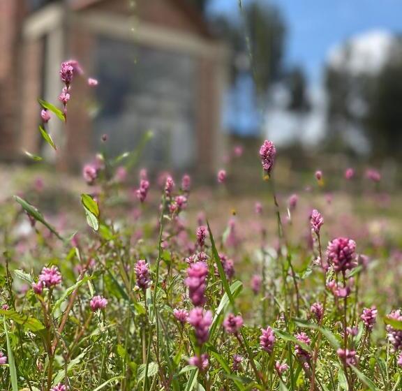 تختخواب و صبحانه Campestre Villa Los Duraznos