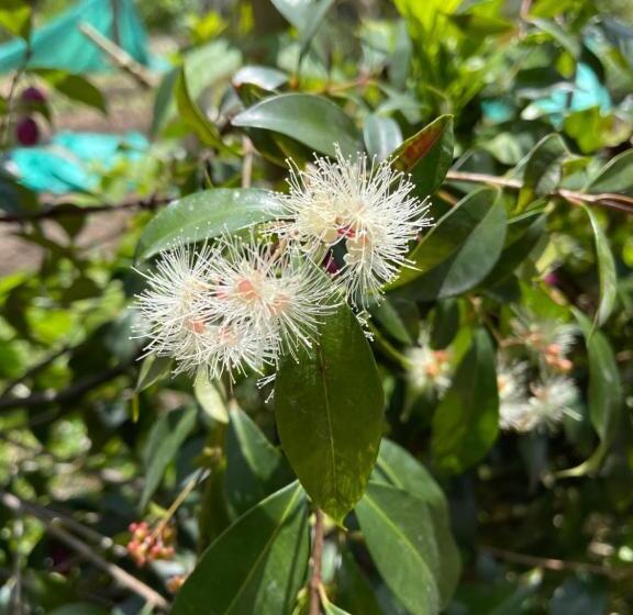 تختخواب و صبحانه Campestre Villa Los Duraznos