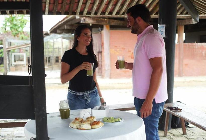 فندق Fazenda Três Tesouros