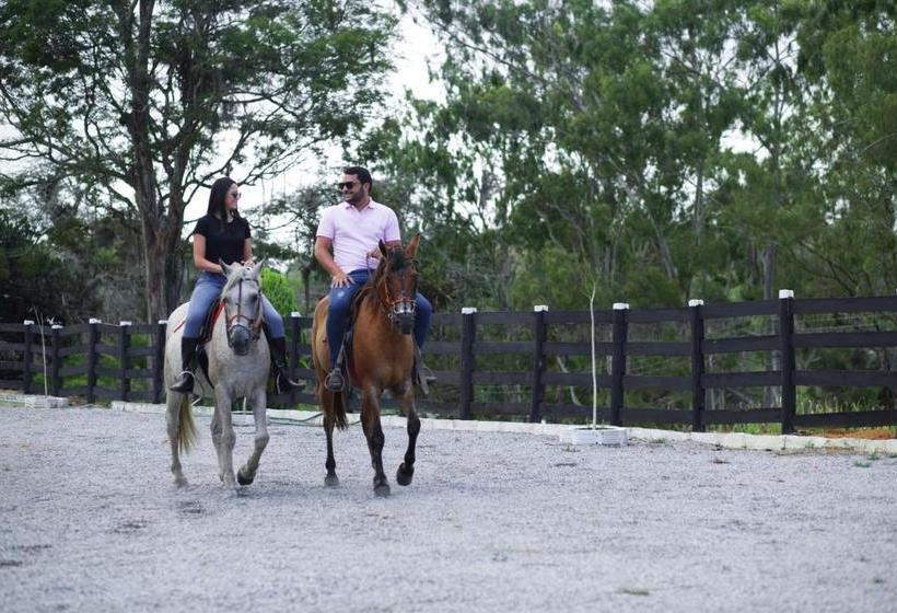 فندق Fazenda Três Tesouros